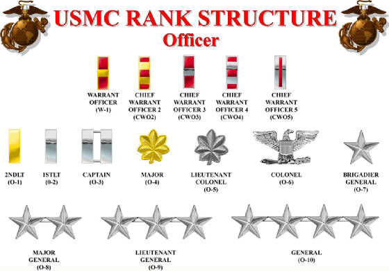 usmcofficerranks.jpg