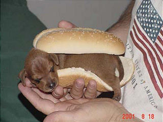 interestingpictures1.jpg