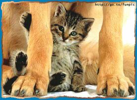 interestingpictures5.jpg